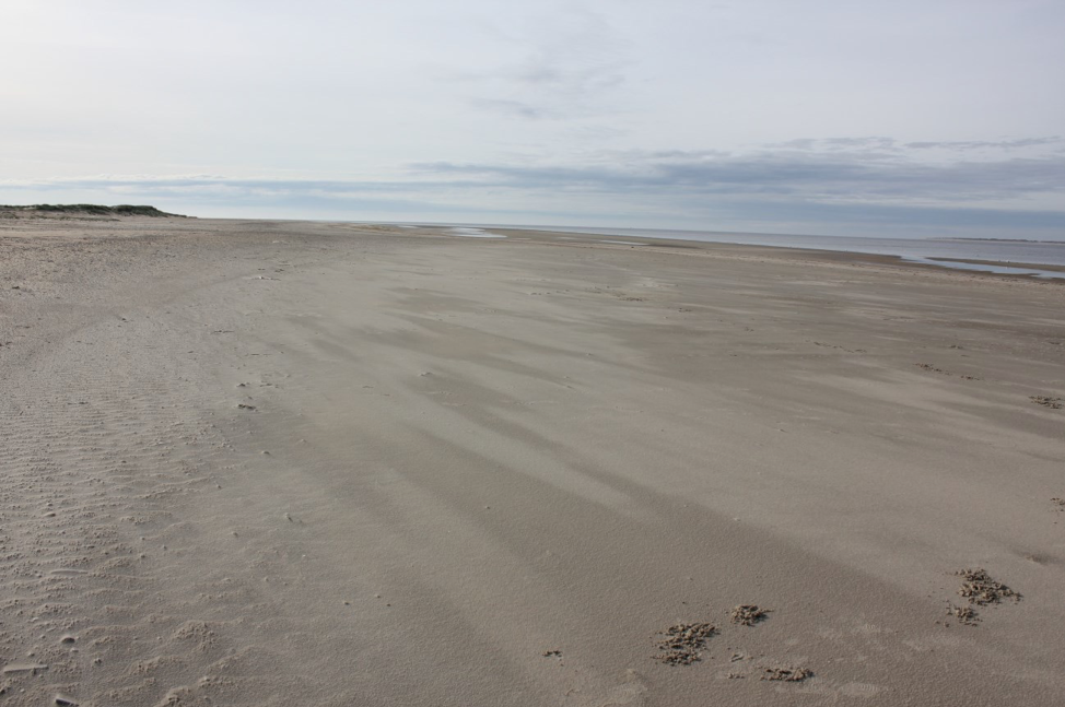 Clean Beach 2