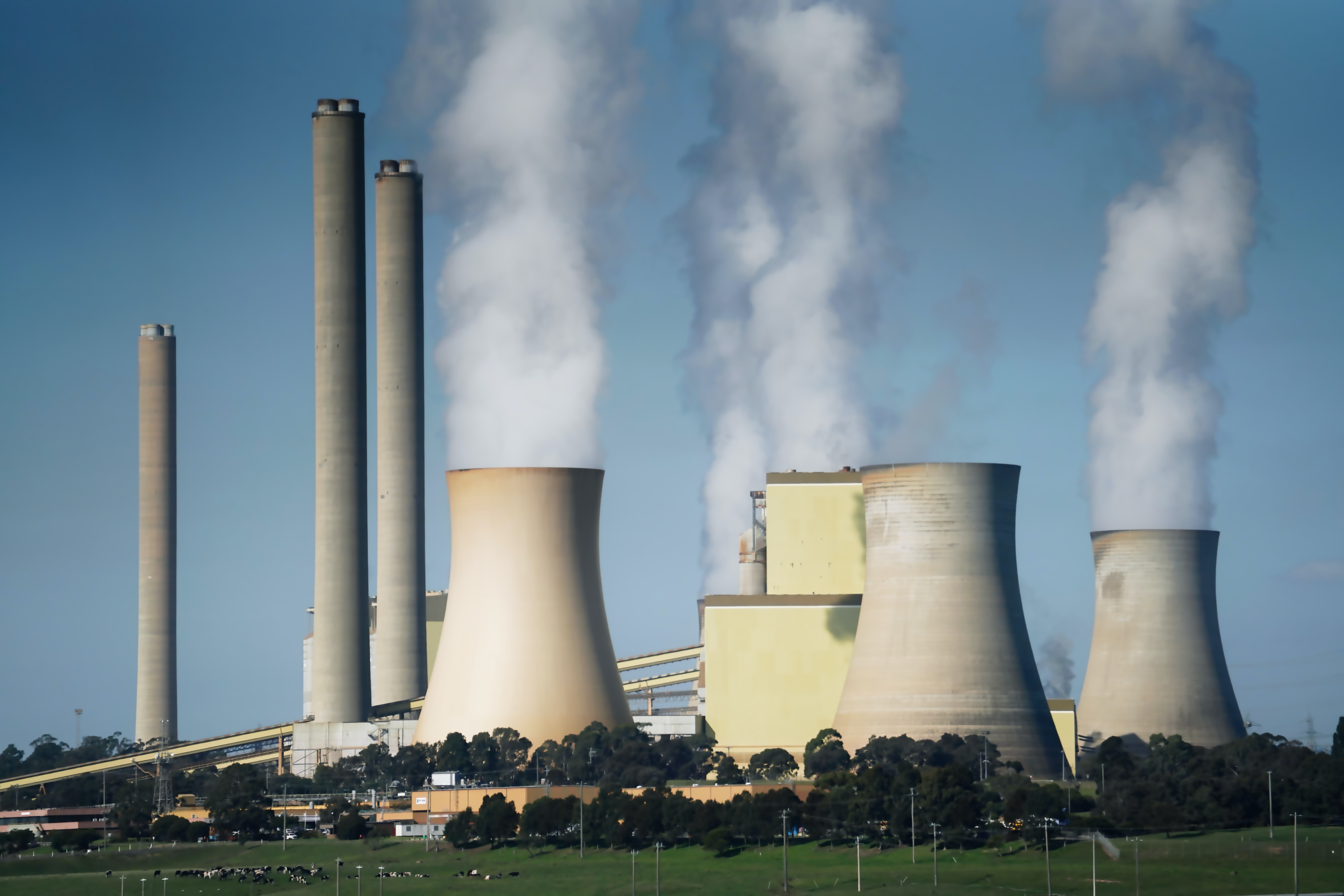 coal