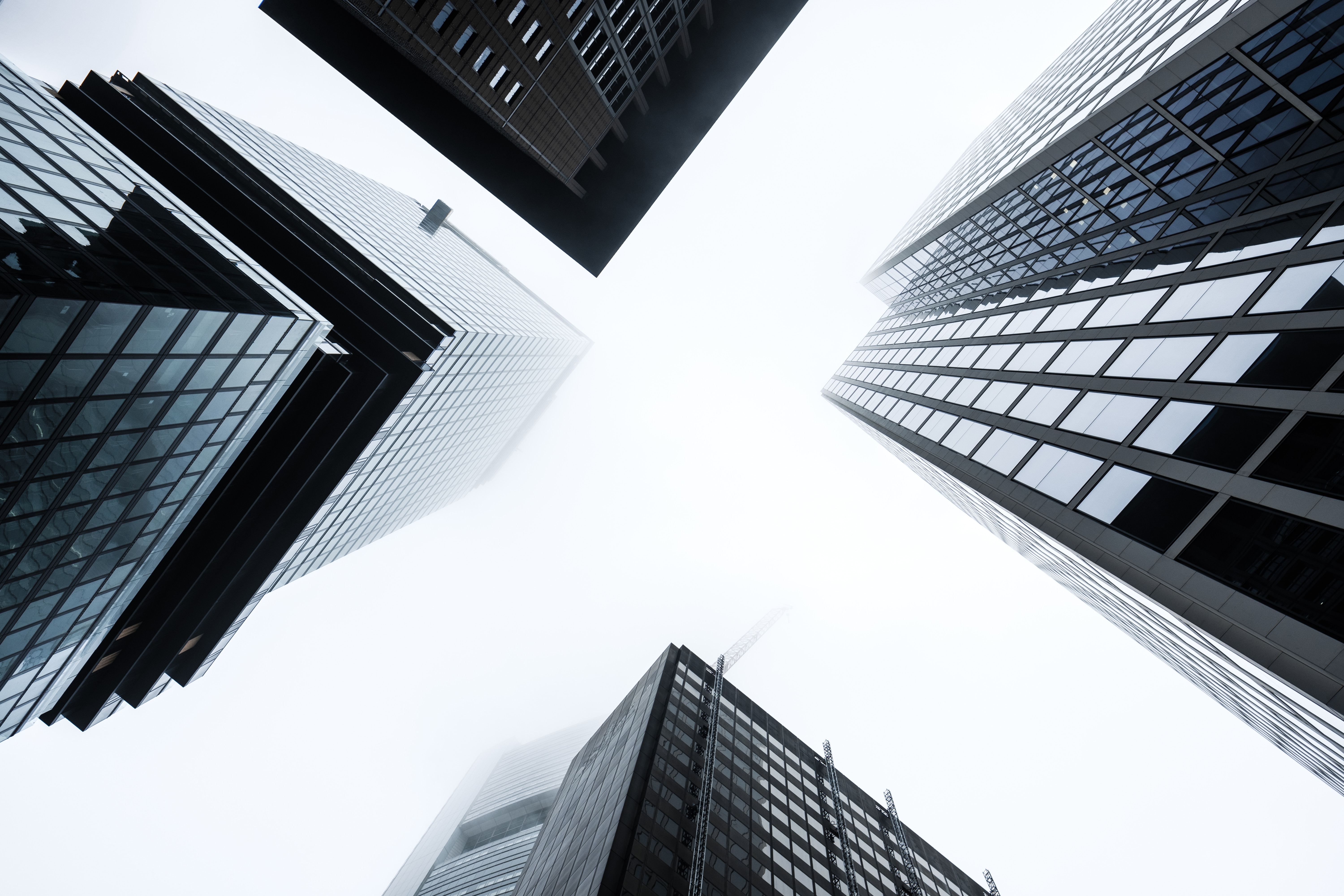 paul fiedler m s7pim3hwg unsplash 0