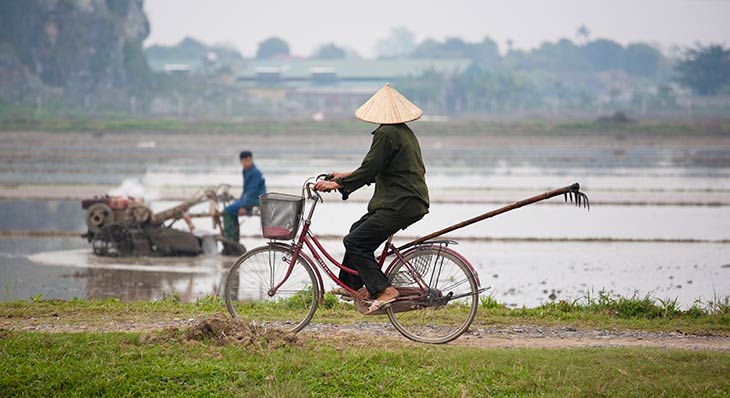 praktikophold i vietnam ergoterapeut 1